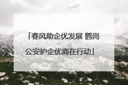 春风助企优发展 鹤岗公安护企优商在行动